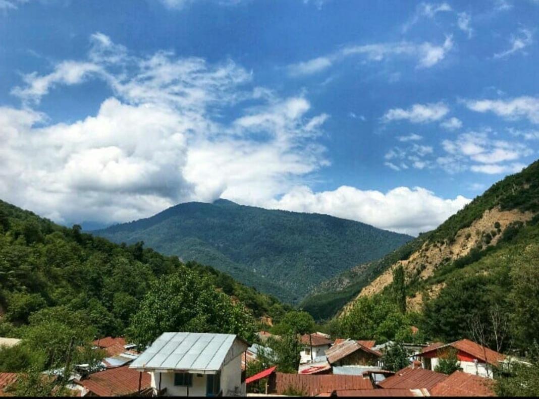 اجاره روزانه ویلا جنگلی در روستای لوکال چلی