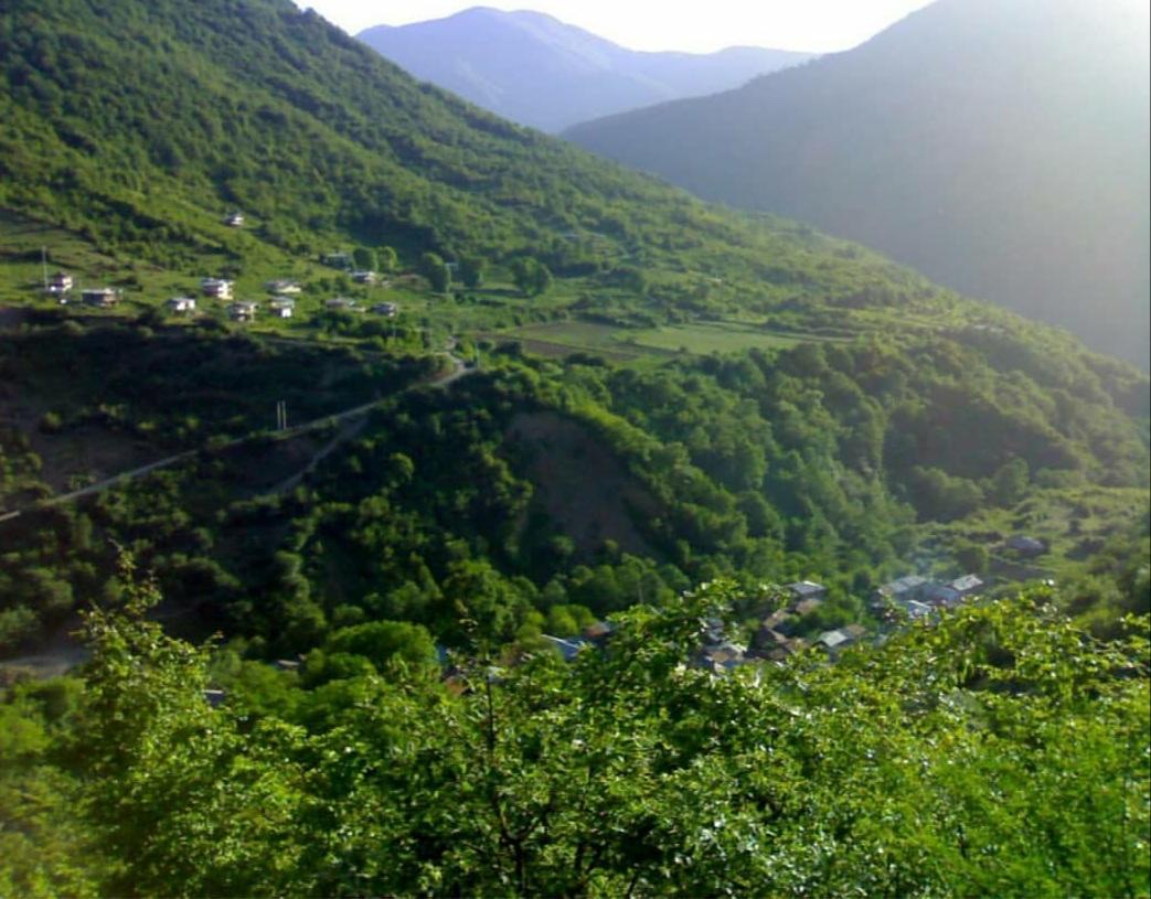 اجاره روزانه ویلا جنگلی در روستای لوکال چلی