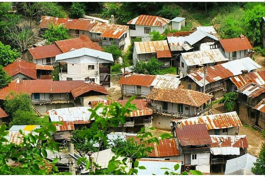 اجاره روزانه ویلا جنگلی در روستای لوکال چلی