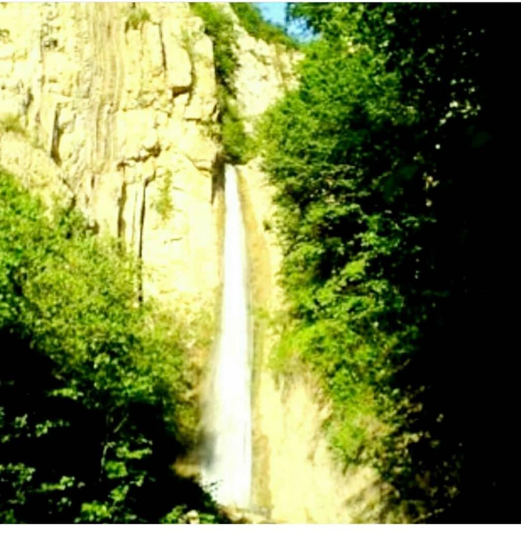 اجاره روزانه ویلا جنگلی در روستای لوکال چلی