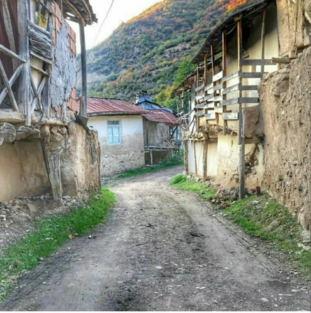 اجاره روزانه ویلا جنگلی در روستای لوکال چلی