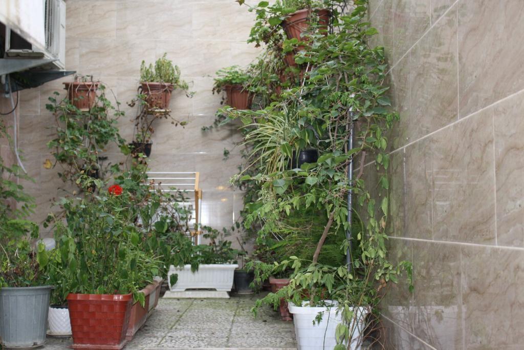 اجاره ویلا در خیابان پاسداران انزلی