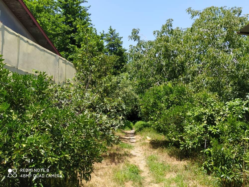 ویلا باغ استخردار در غازیان انزلی