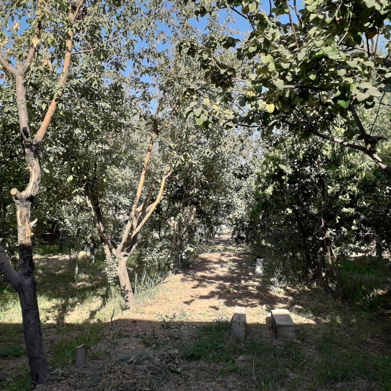 اجاره باغ ویلا بااستخر روباز در خمینی شهر