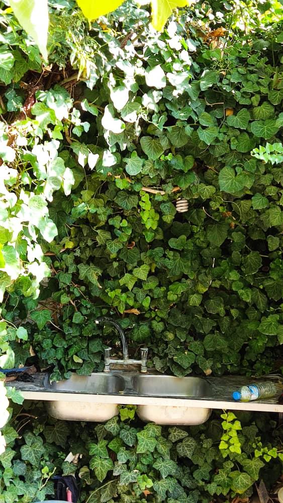 اجاره خانه روستایی در مارگون فارس