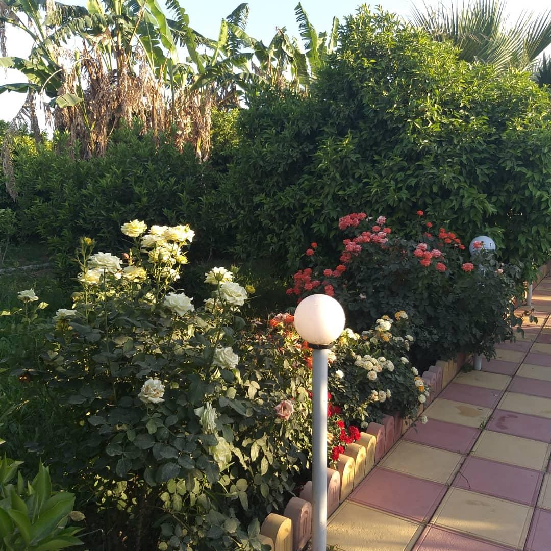 ویلای استخردار روباز با آبگرم در دزفول