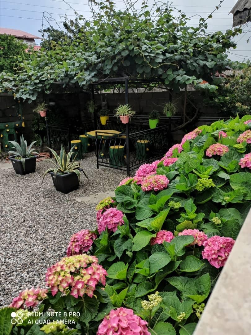 ویلا رنگارنگ دو خواب در بلوار کازینو