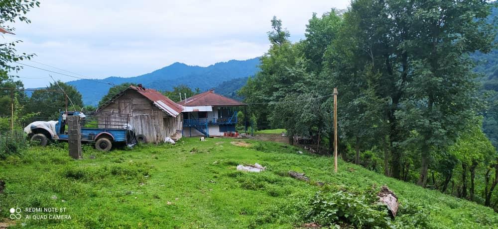 اقامتگاه روستایی در جنگل قلعه رودخان