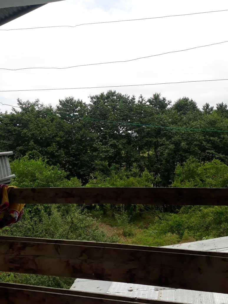 اجاره منزل دو خواب جنگلی در ماسال