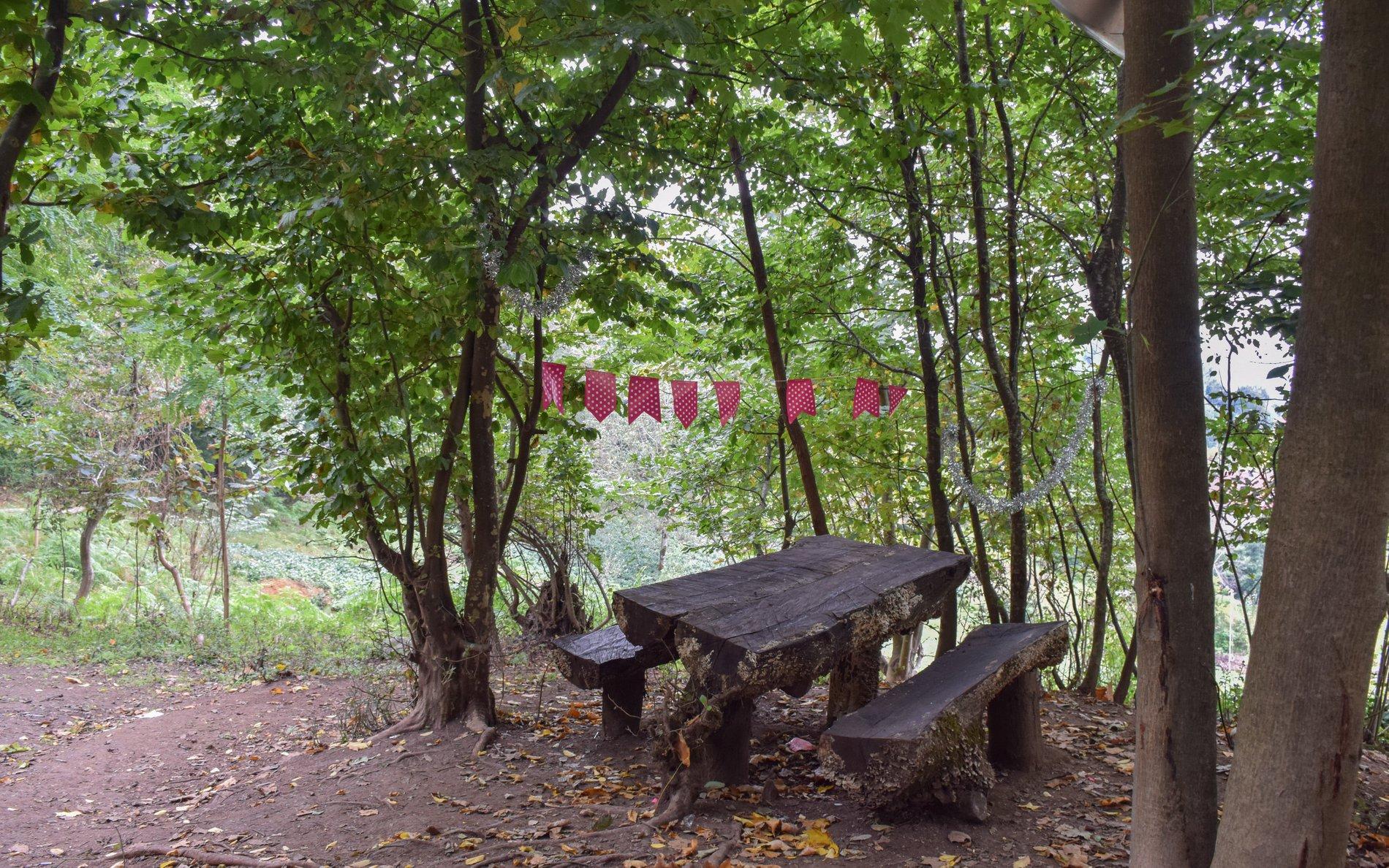 اجاره کلبه چوبی جنگلی در لاهیجان