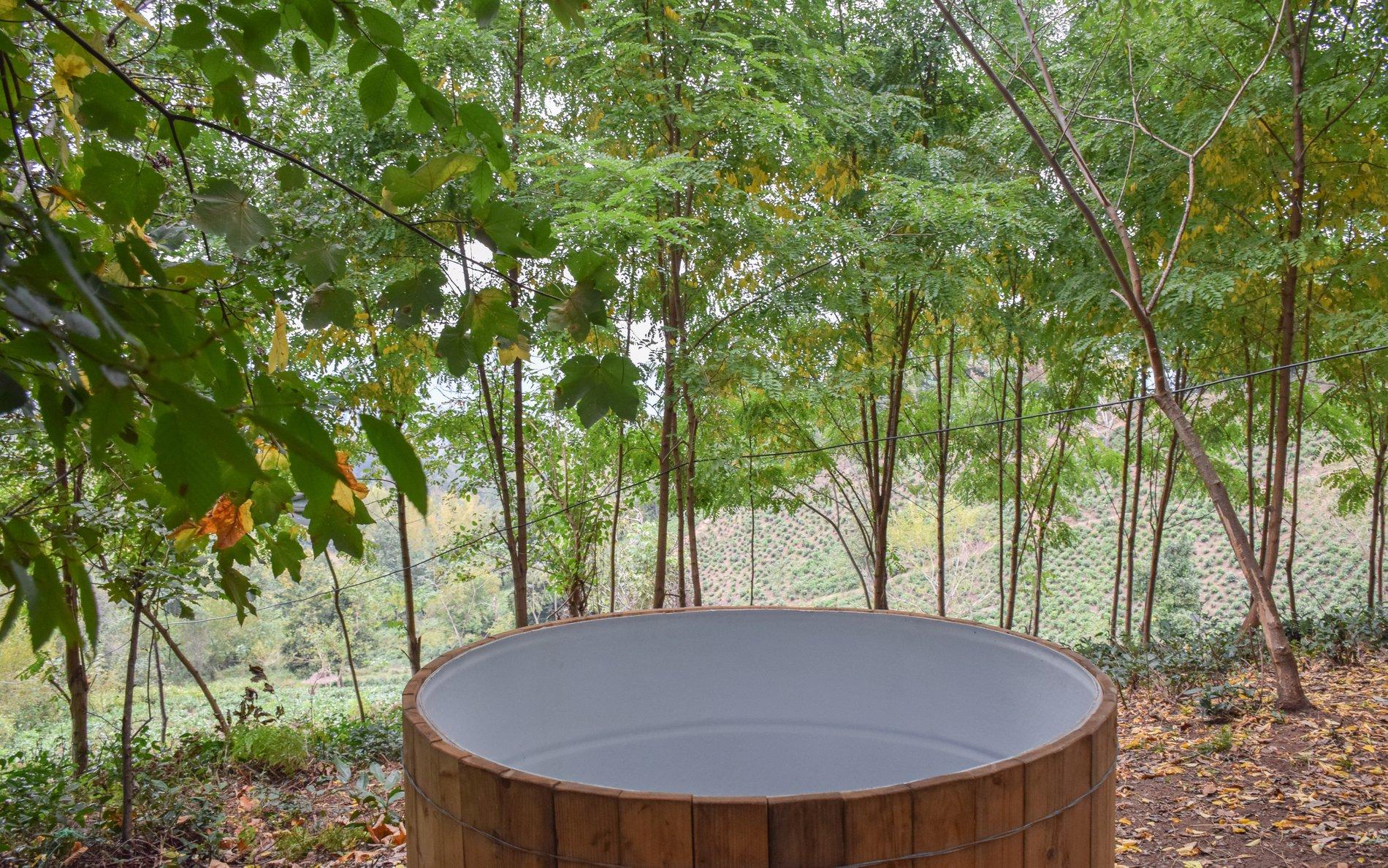 اجاره کلبه چوبی جنگلی در لاهیجان