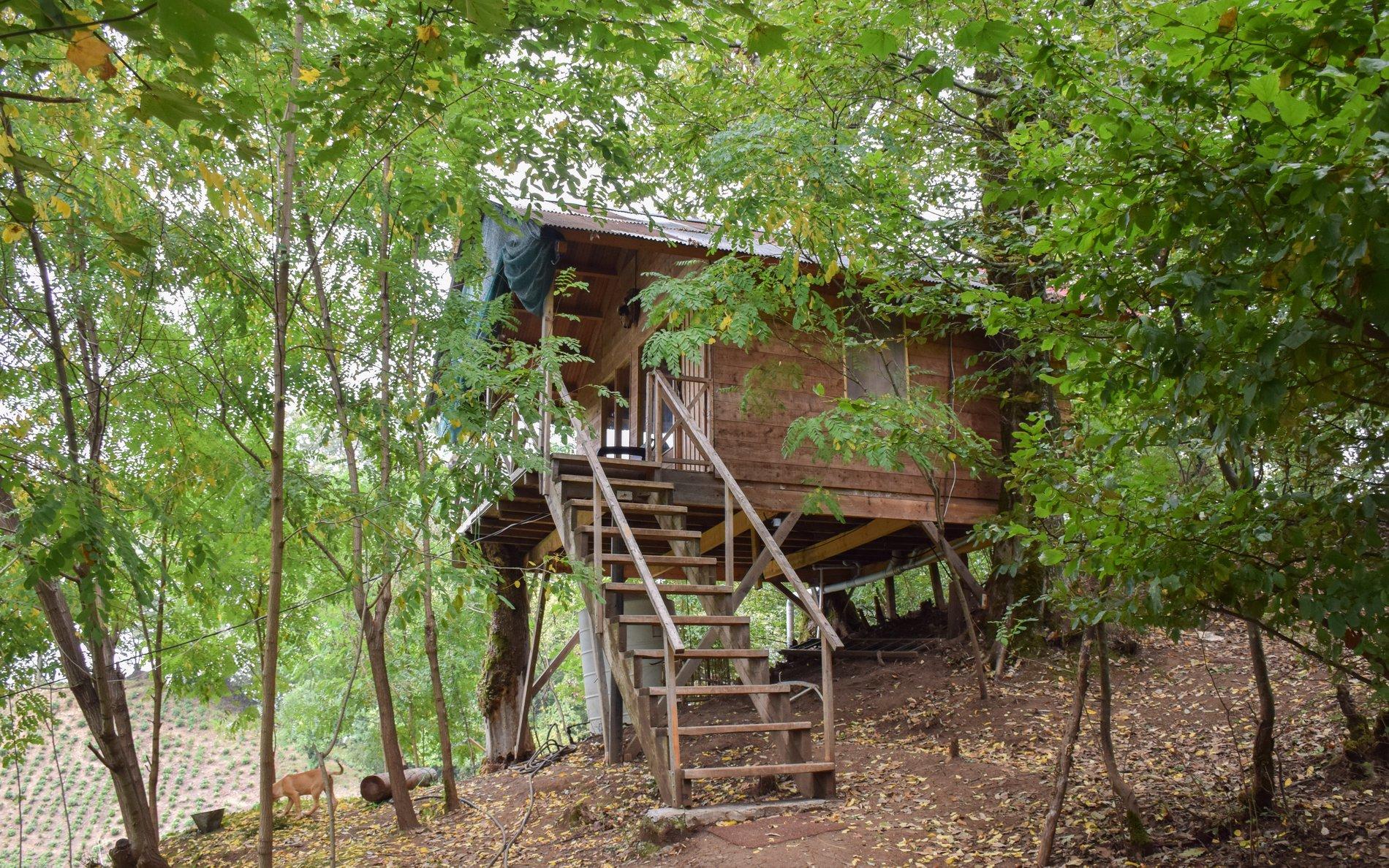 اجاره کلبه چوبی جنگلی در لاهیجان