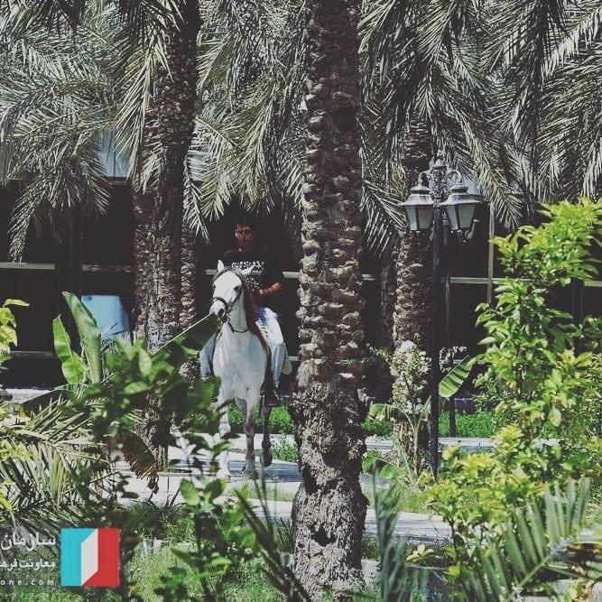 رزرو سوئیت 102 باغ طالبی آبادان