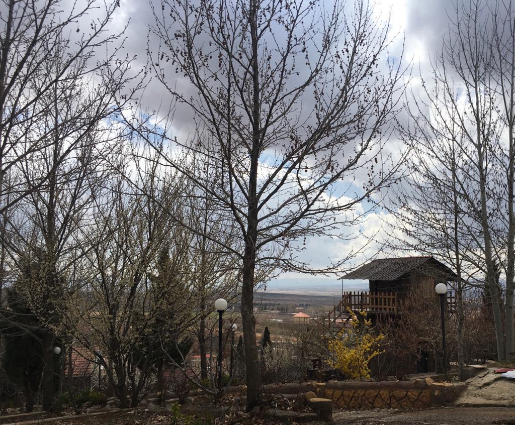 ویلا با استخر آبگرم وکلبه جنگلی در کودیان