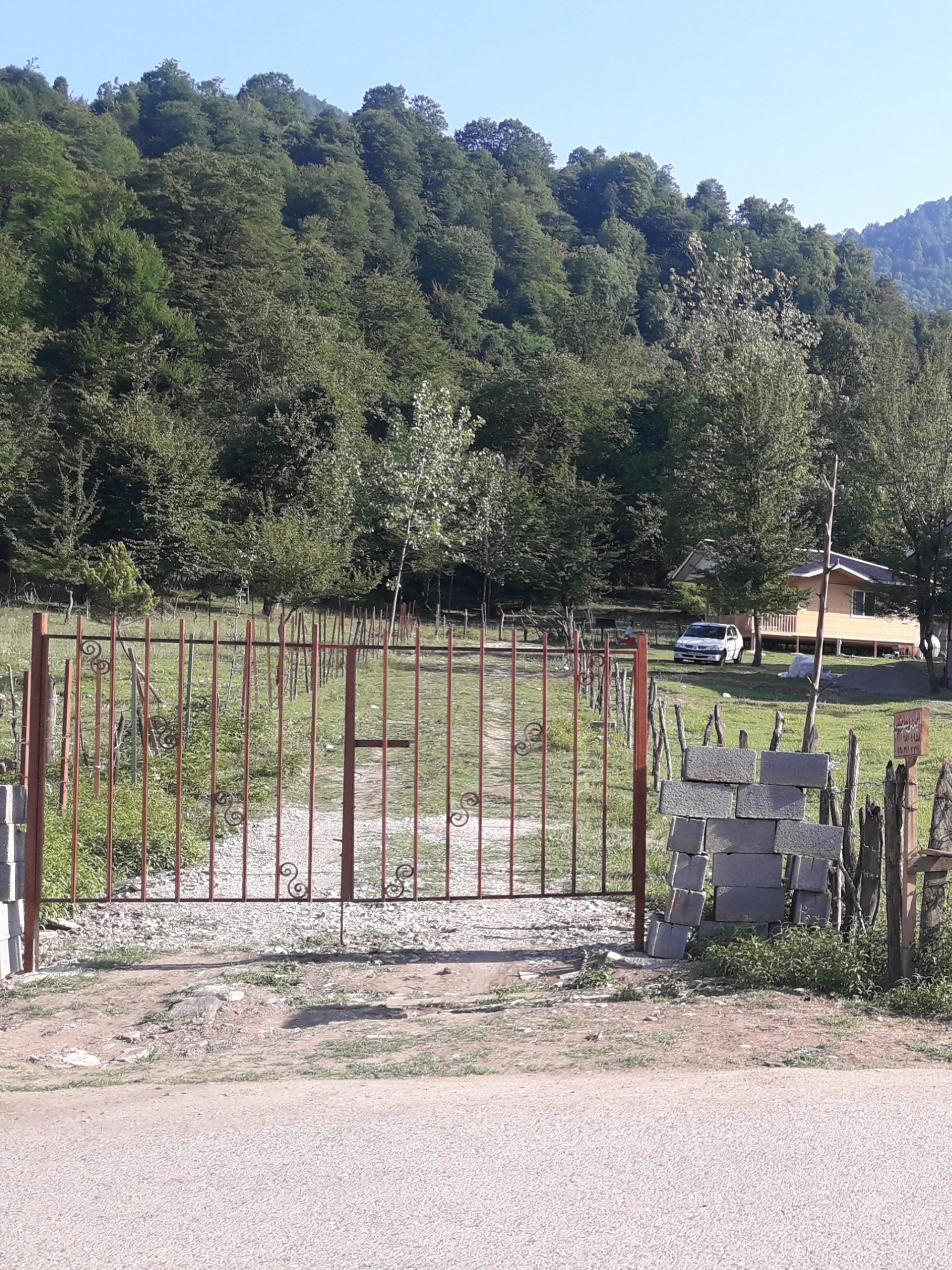 اجاره کلبه جنگلی در دل جنگل ماسال