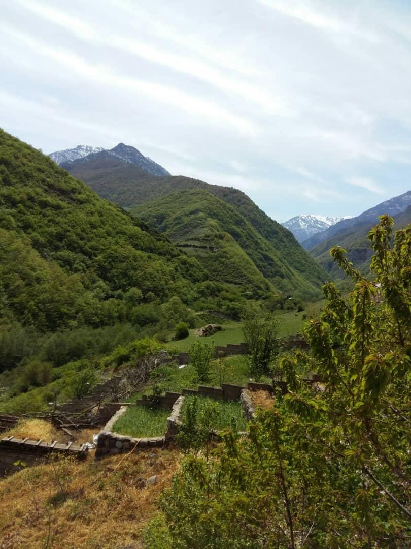 اجاره ویلا رودخانه تنکابن ییلاقی جنگلی