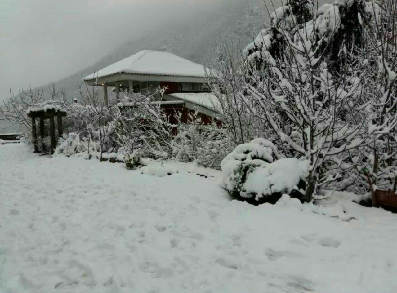 اجاره ویلا رودخانه تنکابن ییلاقی جنگلی