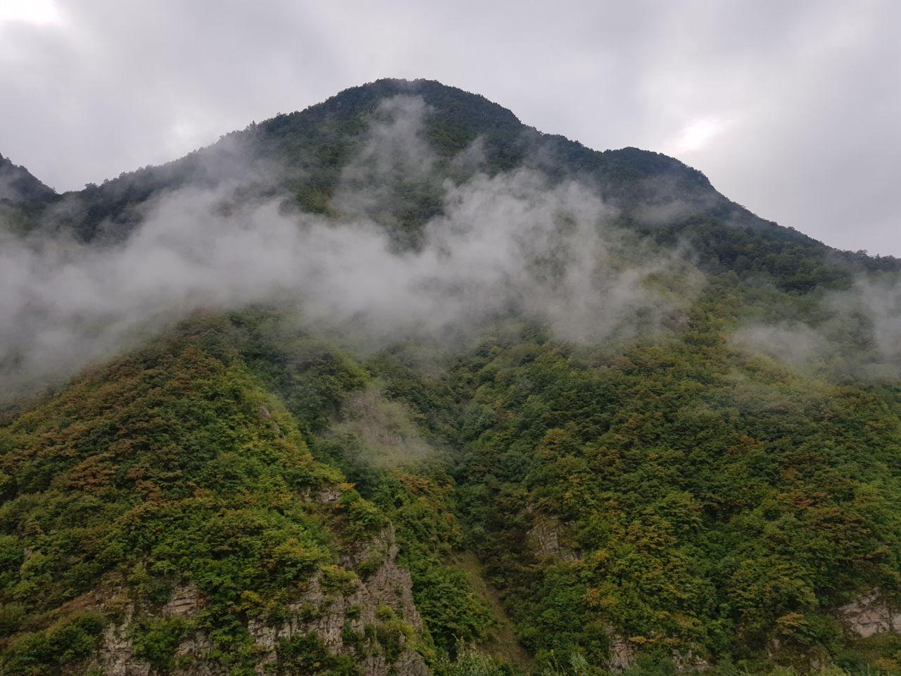 اجاره ویلا رودخانه تنکابن ییلاقی جنگلی