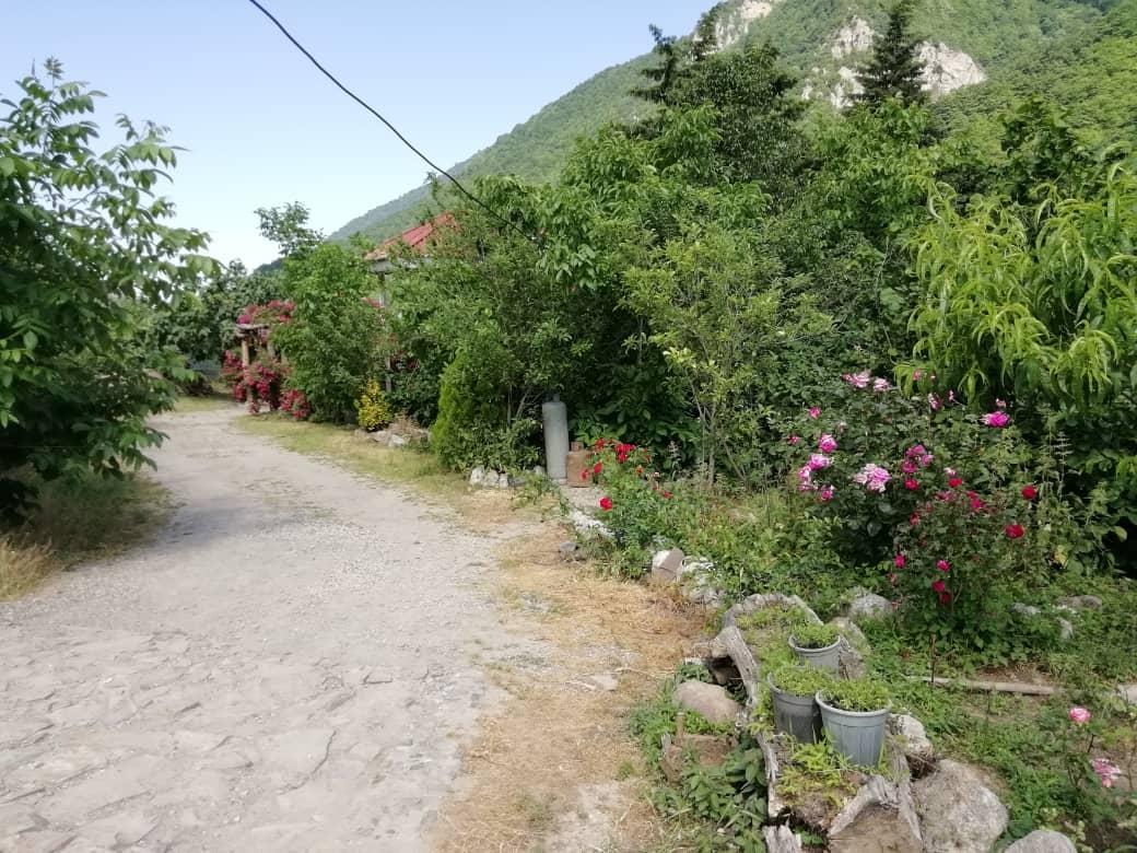اجاره ویلا رودخانه تنکابن ییلاقی جنگلی