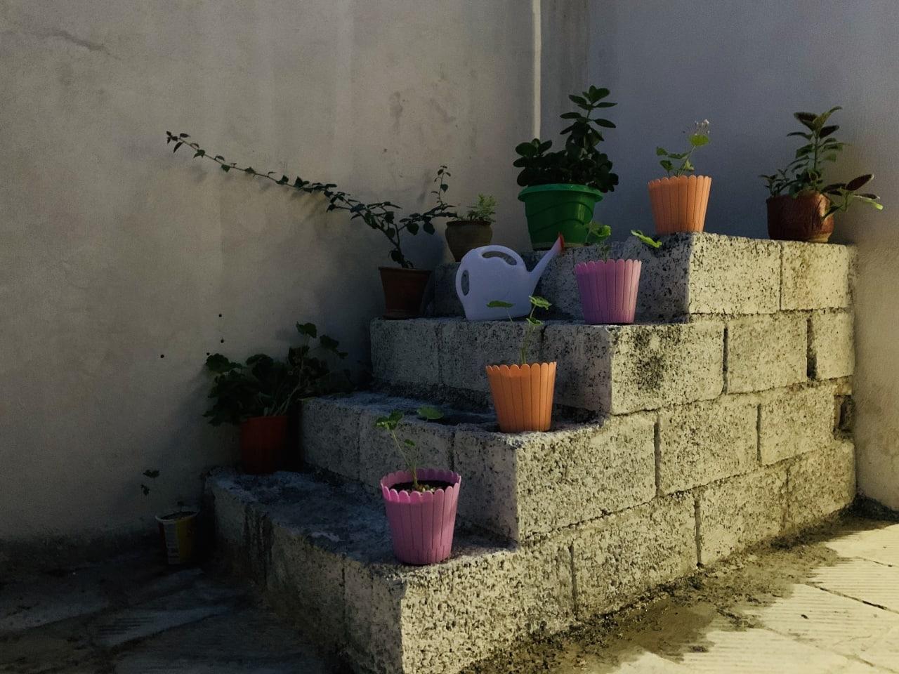 اقامتگاه طوبی در روستای خانقاه پاوه