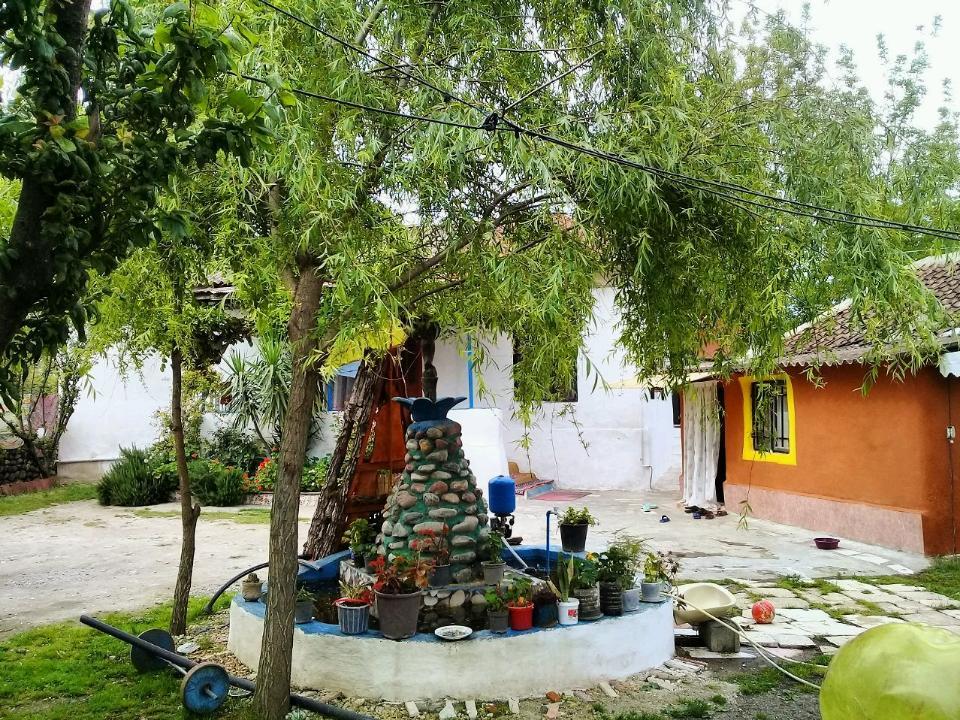 خانه مادربزرگه با کلبه درختی در ساحل لیسار تالش