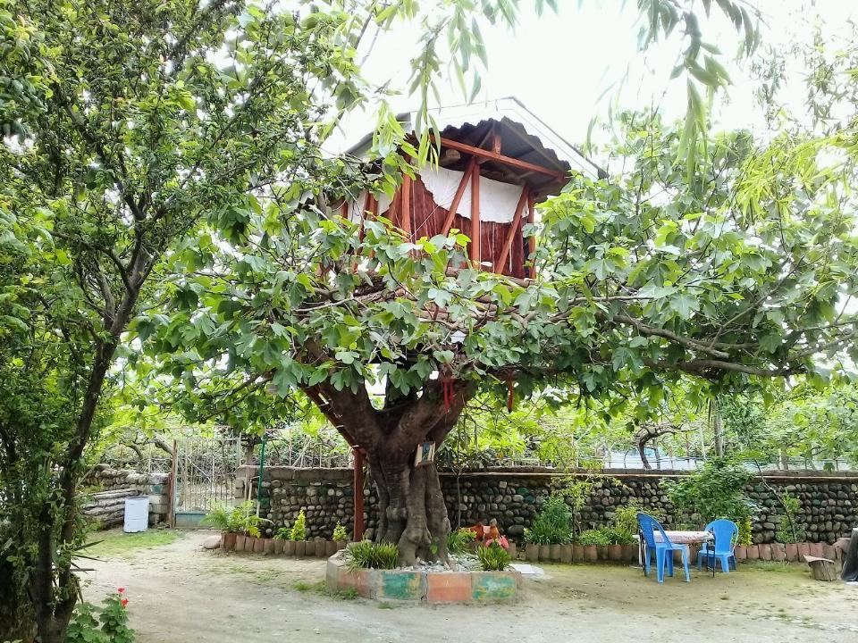 خانه مادربزرگه با کلبه درختی در ساحل لیسار تالش