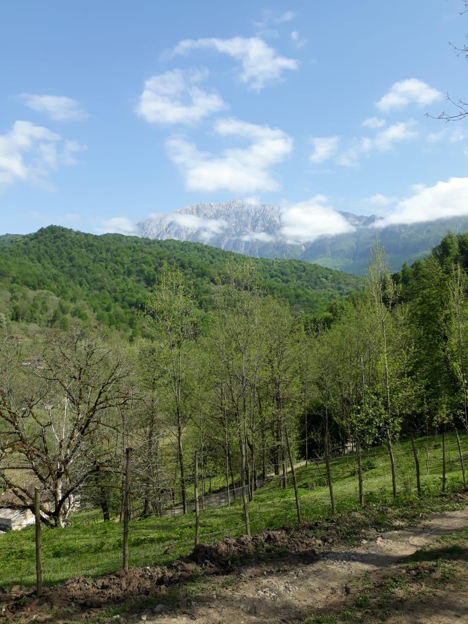 منزل بومگردی سنتی فانوس در رودبار