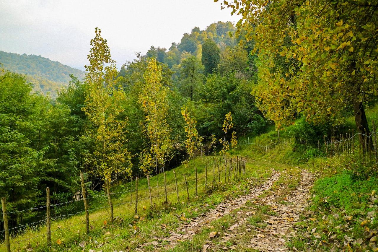 منزل بومگردی سنتی فانوس در رودبار