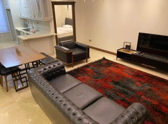 اجاره آپارتمان مبله تکخواب لوکس در الهیه