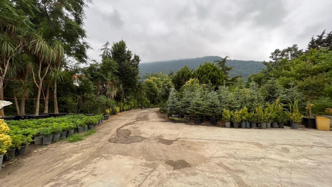 ویلا دو خوابه در کنار دریا با ویوی زیبا