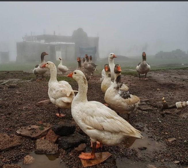 اقامتگاه بوم گردی باجیلار سردابه در اردبیل