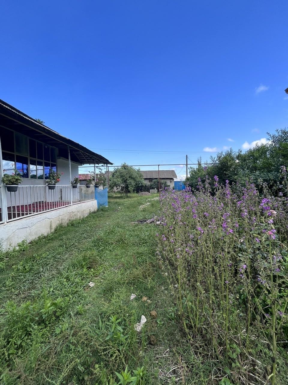 ویلا باغ آرامش ماسوله-حیاط بزرگ و دربست