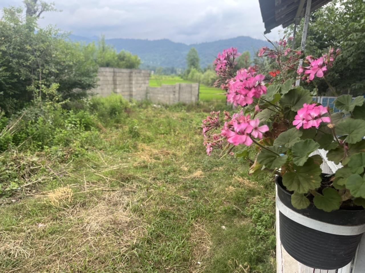 ویلا باغ آرامش ماسوله-حیاط بزرگ و دربست