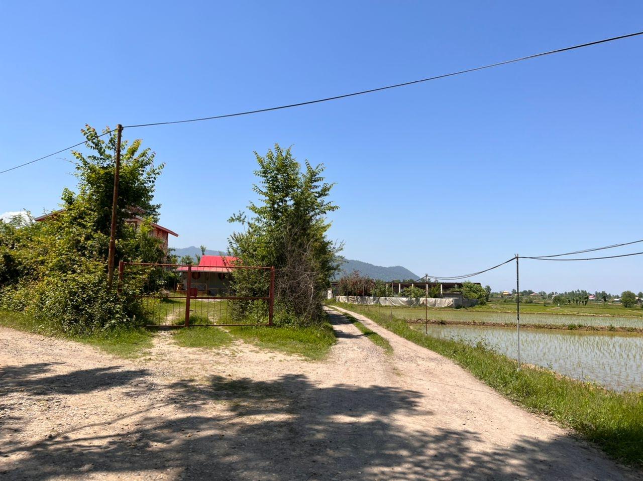 رزرو ویلا جنگلی دو خوابه در ماسال