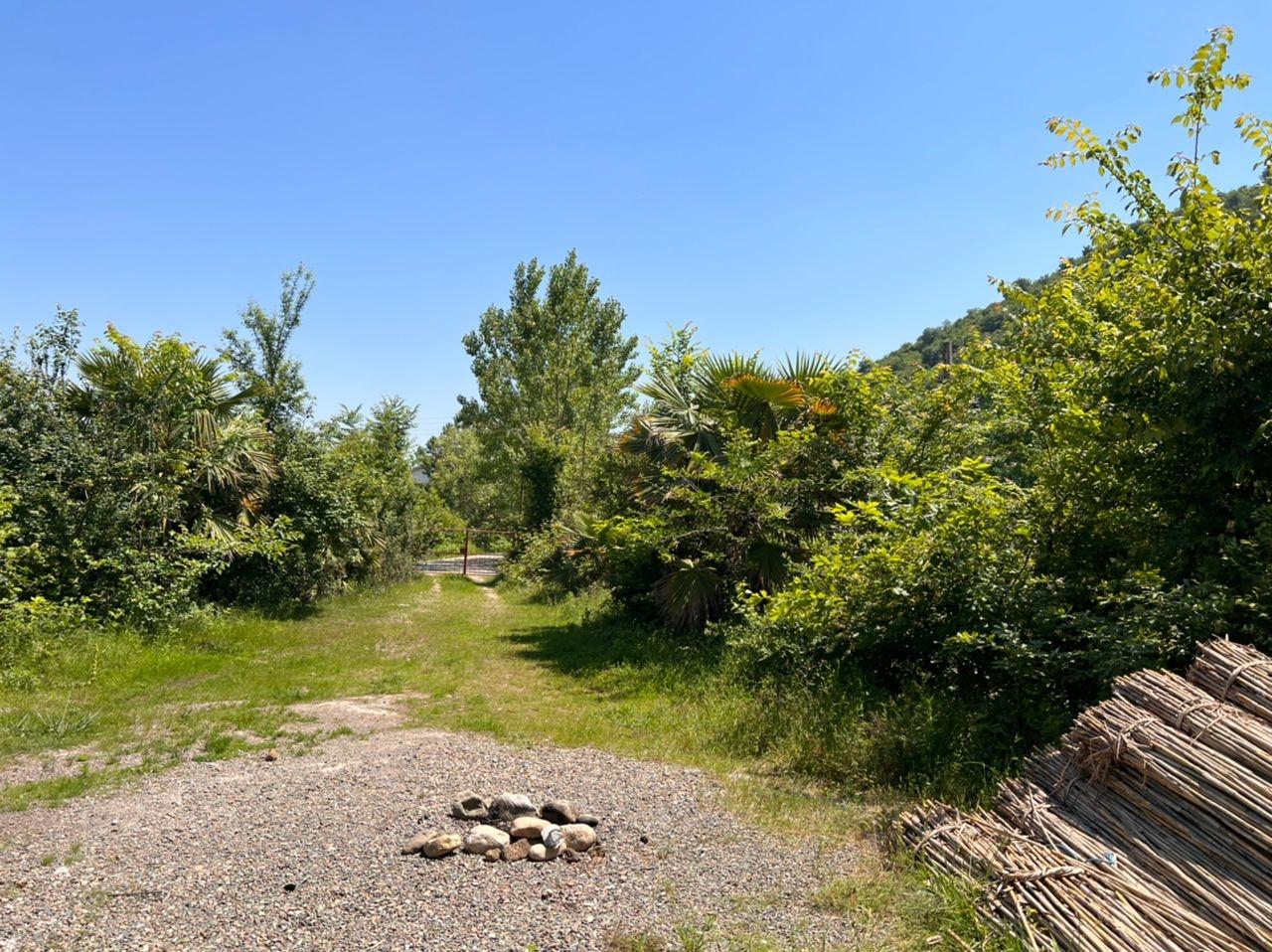 رزرو ویلا جنگلی دو خوابه در ماسال