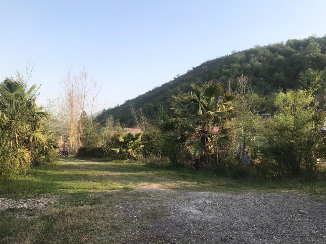 رزرو ویلا جنگلی دو خوابه در ماسال