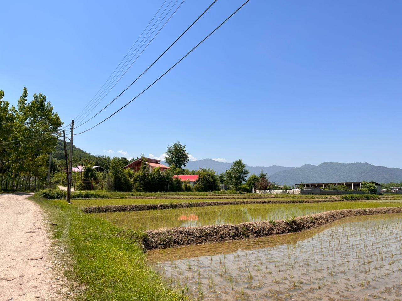 رزرو ویلا جنگلی دو خوابه در ماسال