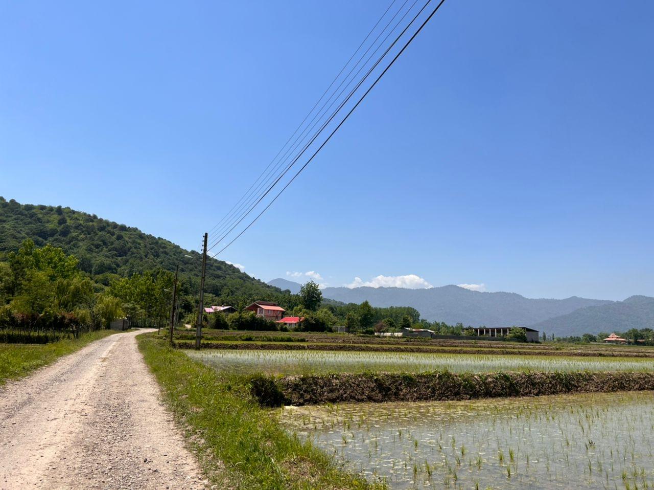 رزرو ویلا جنگلی دو خوابه در ماسال