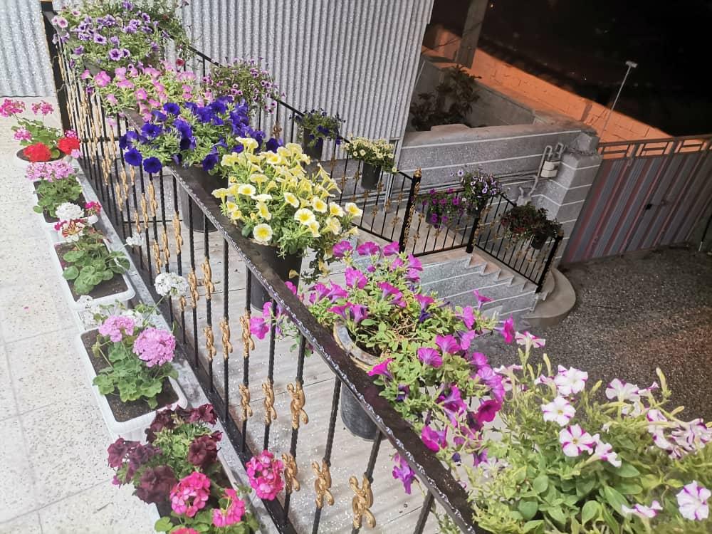 ویلا باغ اجاره ای ایلیا -سوئیت کوچک در سی سخت