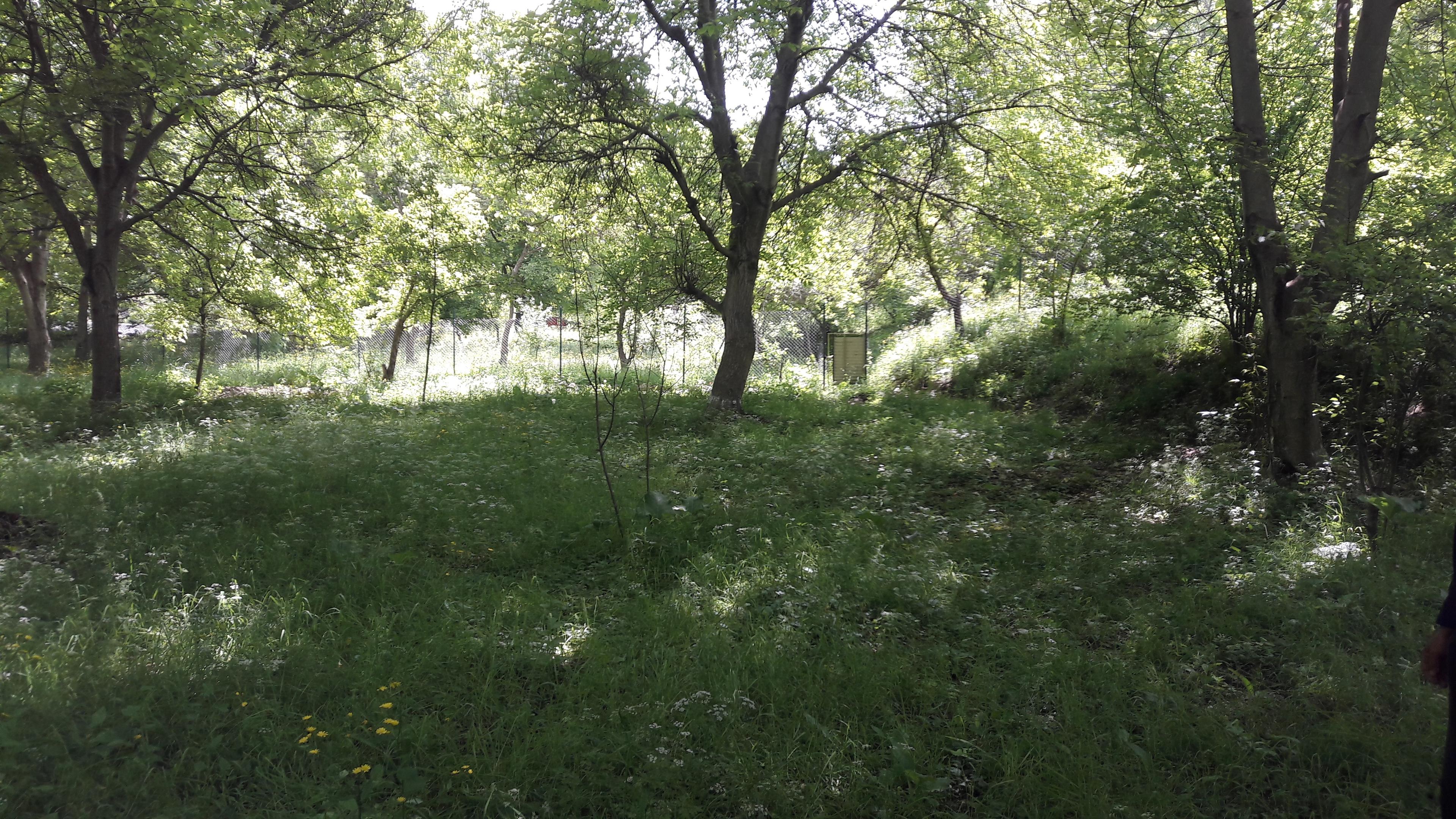 اقامتگاه ویلایی نجفیان-طبقه همکف