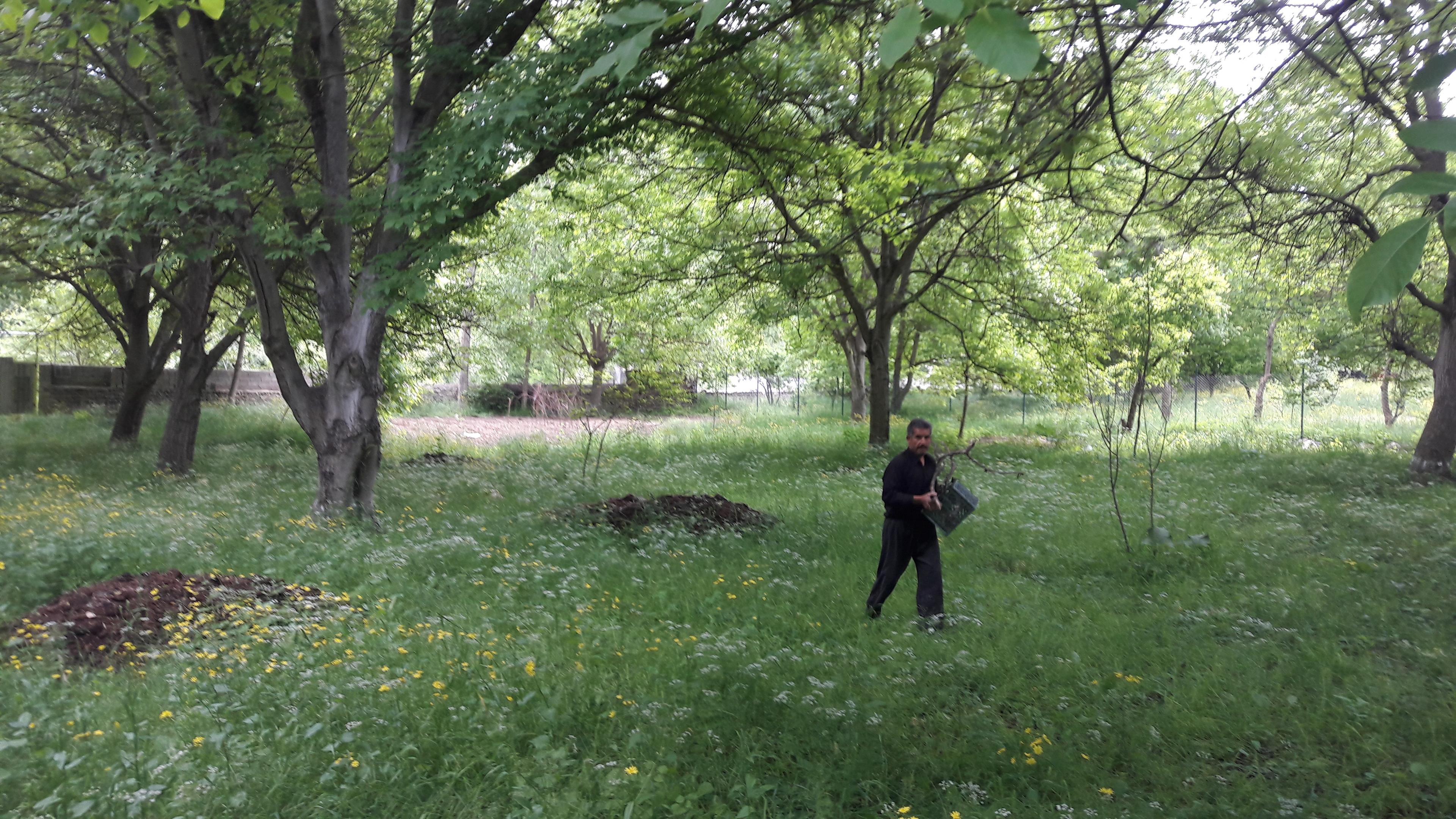 اقامتگاه ویلایی نجفیان-طبقه همکف