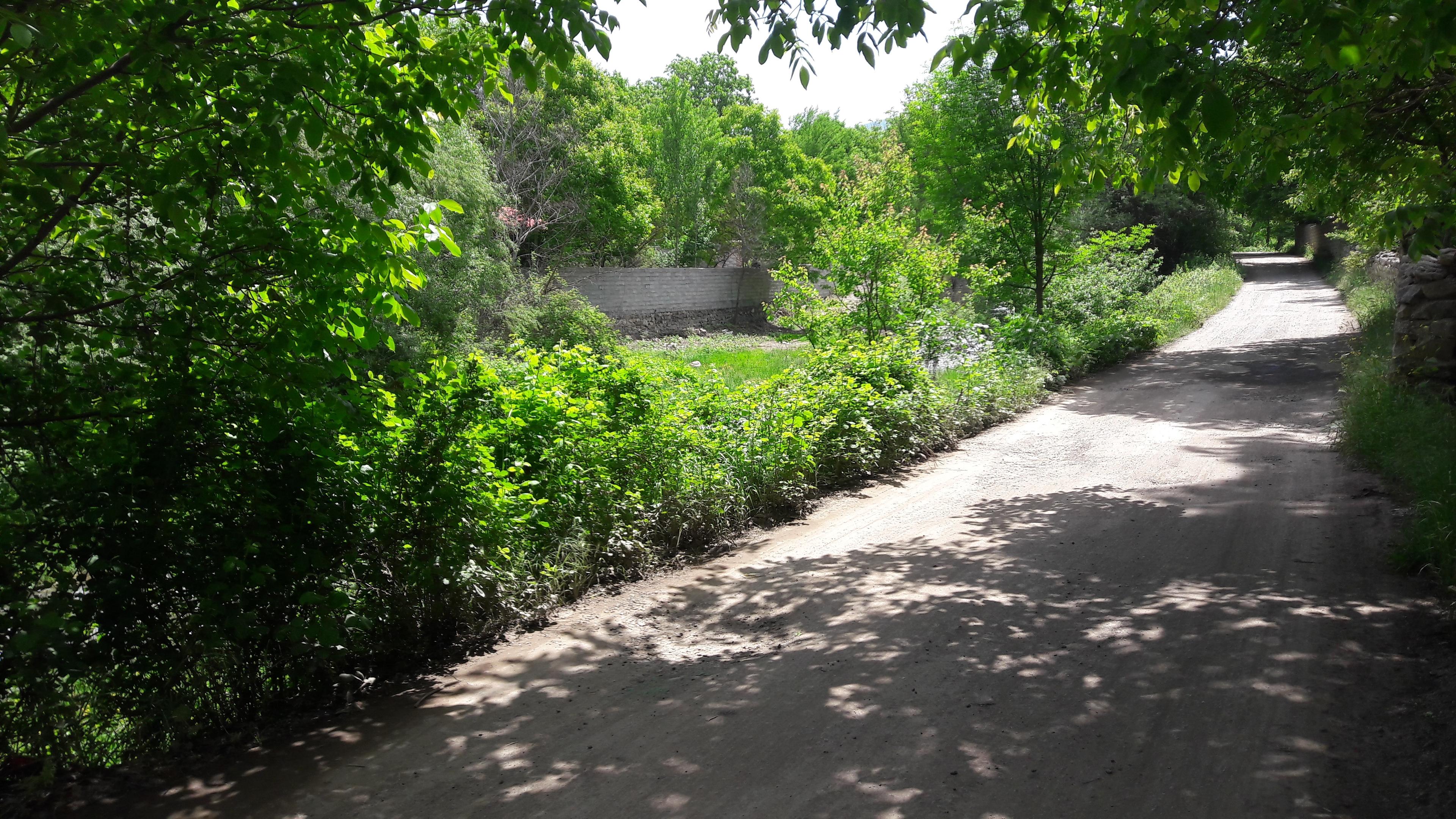 اقامتگاه ویلایی نجفیان-طبقه همکف