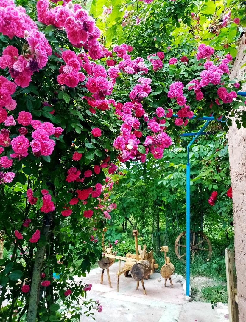 اجاره اقامتگاه بوم گردی آنیل جلفا