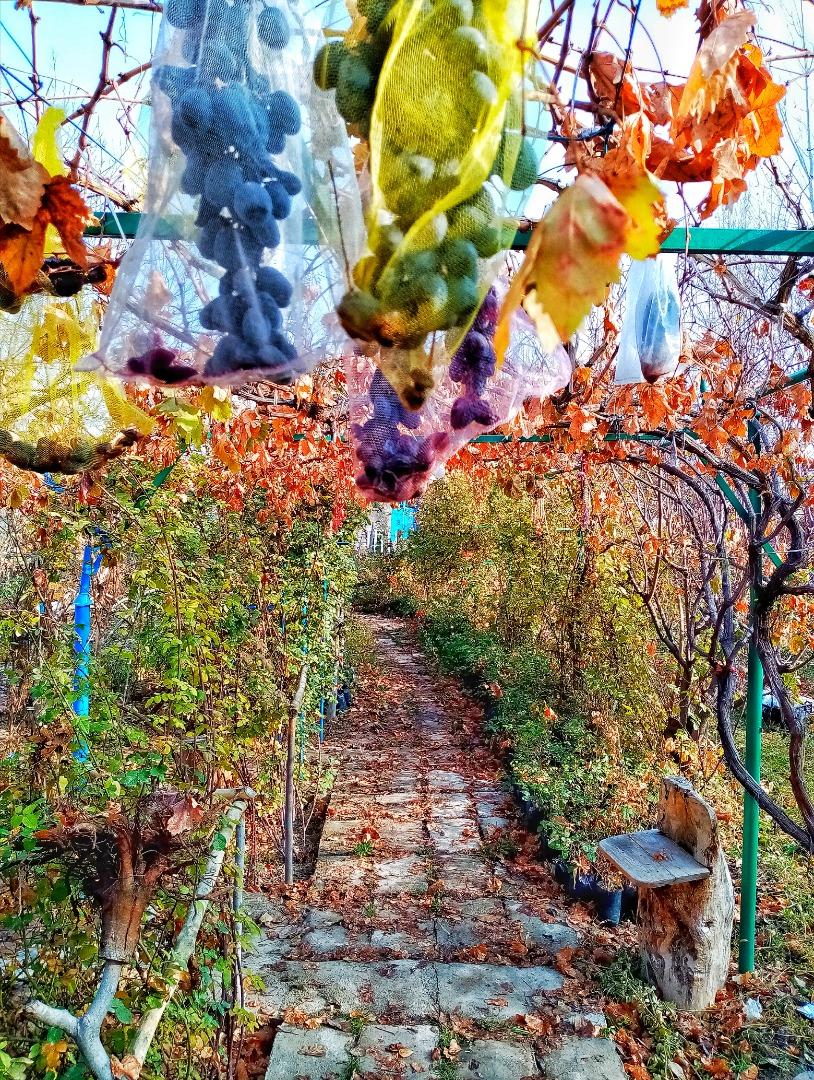 اجاره اقامتگاه بوم گردی آنیل جلفا