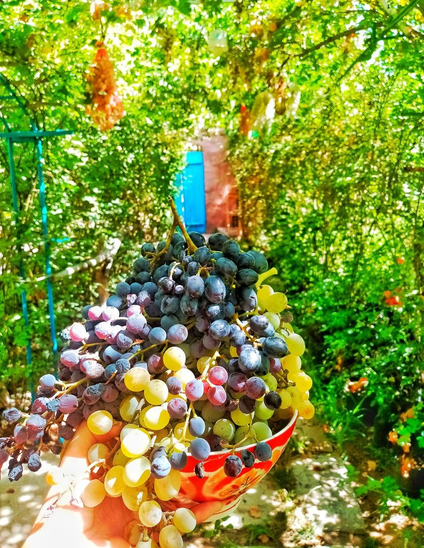 اجاره اقامتگاه بوم گردی آنیل جلفا