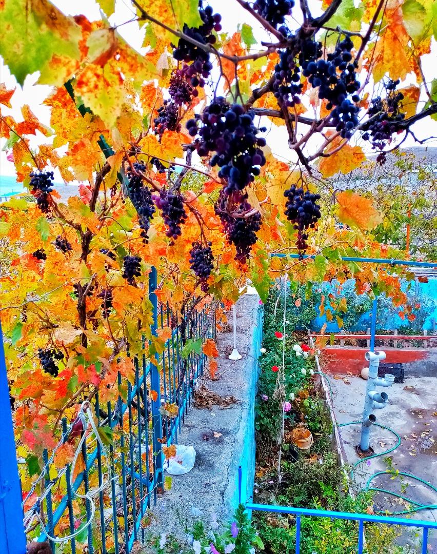 اجاره اقامتگاه بوم گردی آنیل جلفا