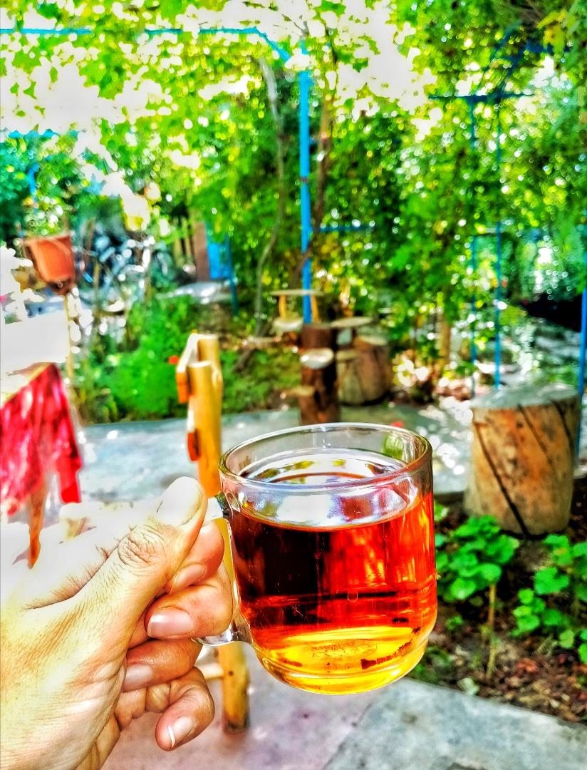 اجاره اقامتگاه بوم گردی آنیل جلفا