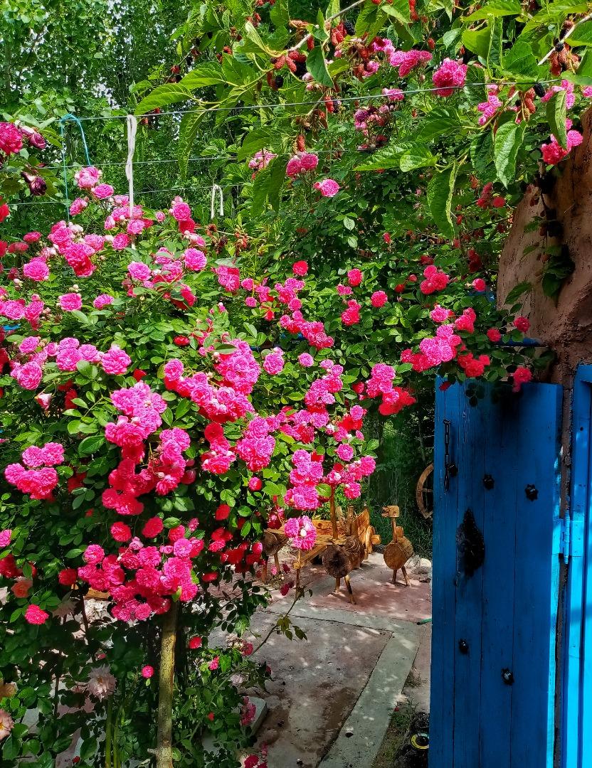 اجاره اقامتگاه بوم گردی آنیل جلفا