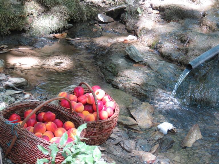 اقامتگاه بوم گردی واران در سنندج
