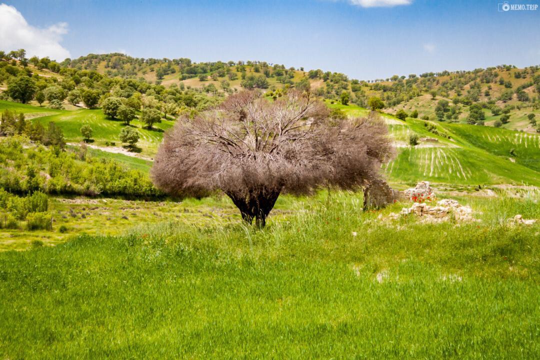 اجاره اقامتگاه بوم گردی چویل در نورآباد ممسنی